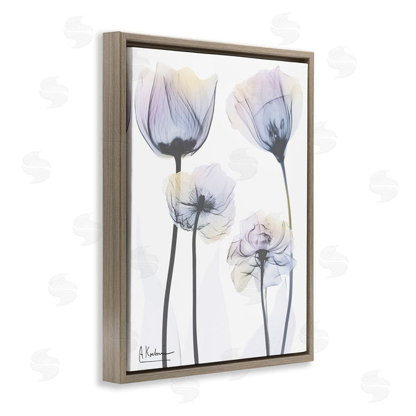 Stupell Industries Albert Koetsier | Subtle Flower Shapes Wall Art