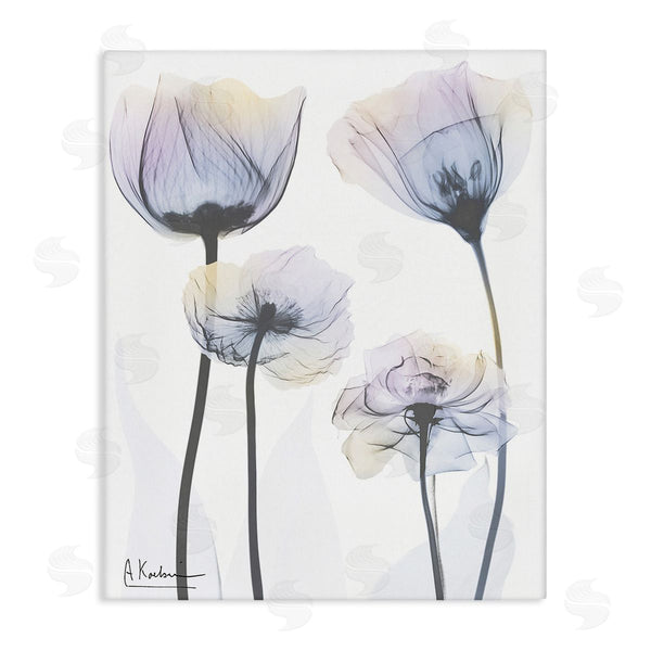 stupell industries Albert Koetsier | Subtle Flower Shapes Wall Art