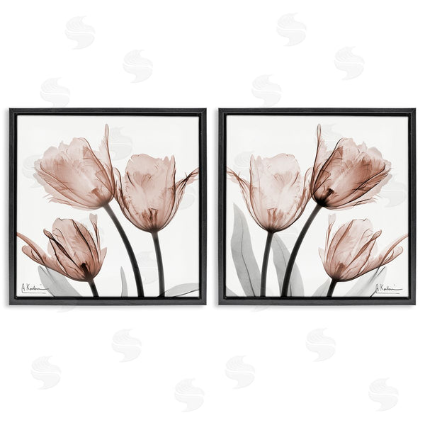 Stupell Industries Albert Koetsier | Translucent Blooming Tulips