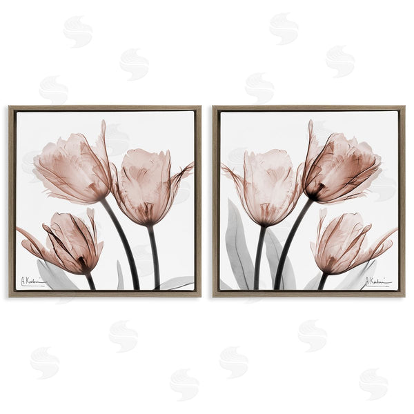 Stupell Industries Albert Koetsier | Translucent Blooming Tulips