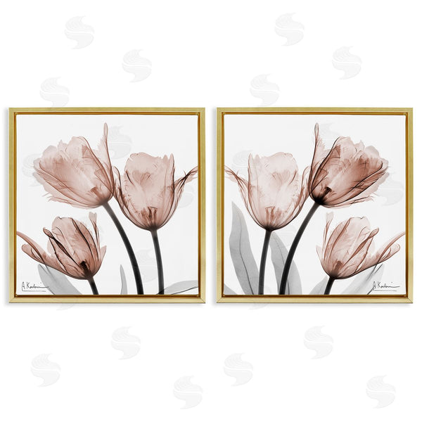 Stupell Industries Albert Koetsier | Translucent Blooming Tulips