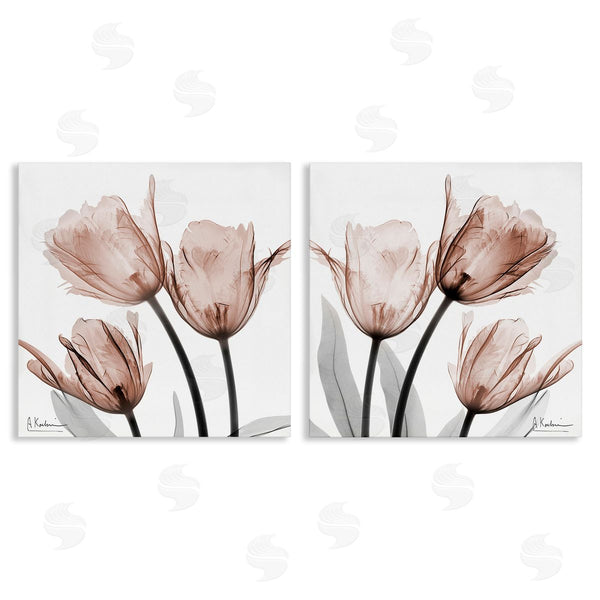 stupell industries Albert Koetsier | Translucent Blooming Tulips