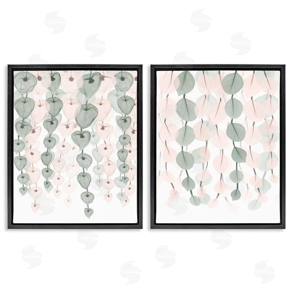 Stupell Industries Albert Koetsier | Translucent Hanging Vines Foliage