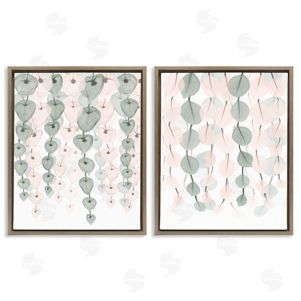 Stupell Industries Albert Koetsier | Translucent Hanging Vines Foliage