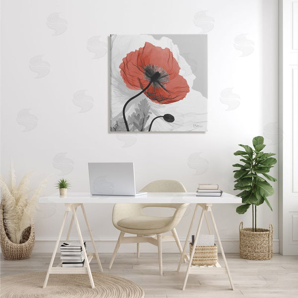 Stupell Industries Albert Koetsier | Translucent Red Poppy Floral Modern Flower Photography Wall Art