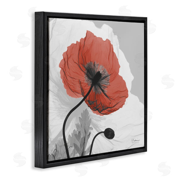 Stupell Industries Albert Koetsier | Translucent Red Poppy Floral Modern Flower Photography Wall Art