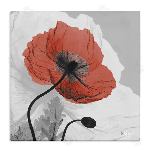 stupell industries Albert Koetsier | Translucent Red Poppy Floral Modern Flower Photography Wall Art