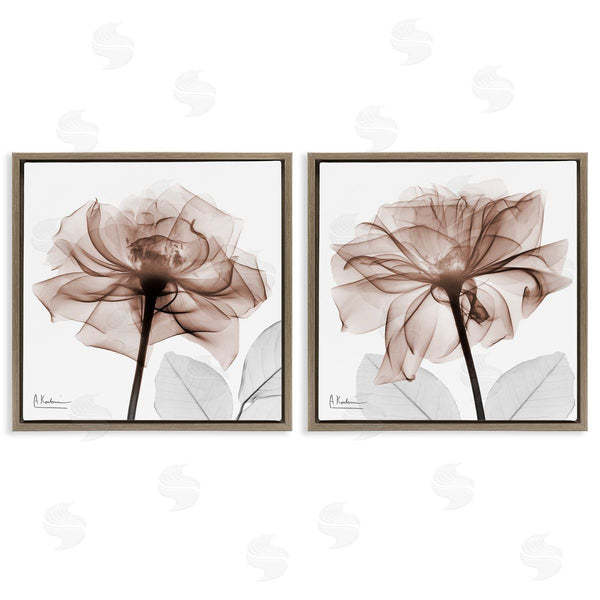 Stupell Industries Albert Koetsier | Translucent Rose Blossoms