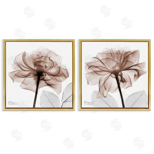 Stupell Industries Albert Koetsier | Translucent Rose Blossoms