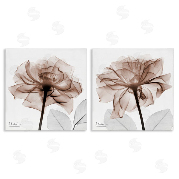 stupell industries Albert Koetsier | Translucent Rose Blossoms