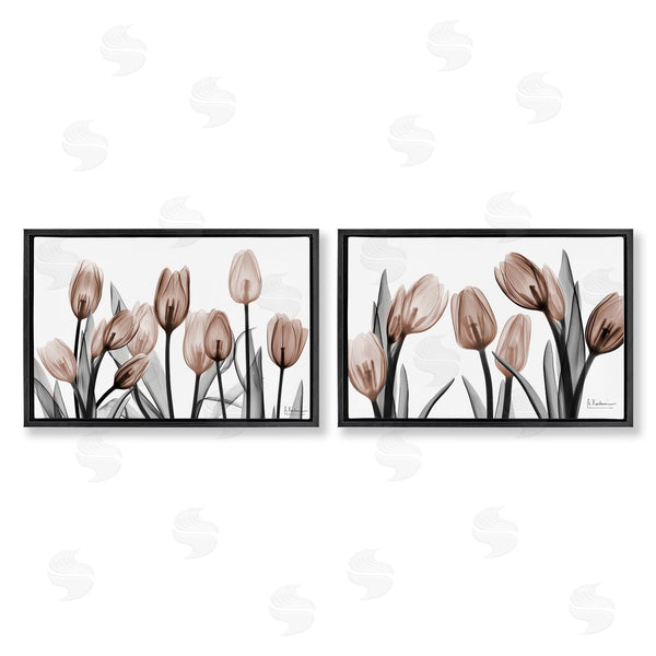 Stupell Industries Albert Koetsier | Translucent Tulips In Mocha