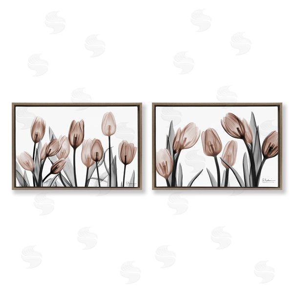 Stupell Industries Albert Koetsier | Translucent Tulips In Mocha