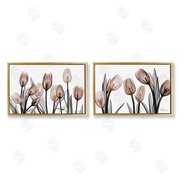 Stupell Industries Albert Koetsier | Translucent Tulips In Mocha