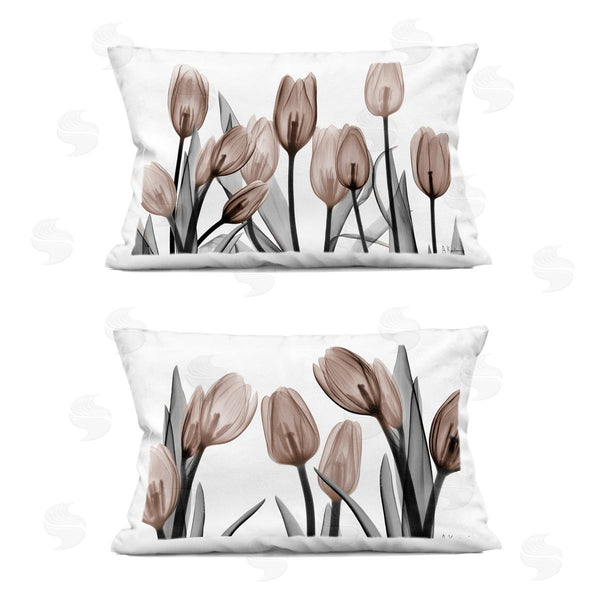stupell industries Albert Koetsier | Translucent Tulips in Mocha Printed Throw Pillow Set