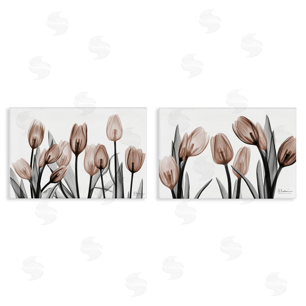 stupell industries Albert Koetsier | Translucent Tulips in Mocha