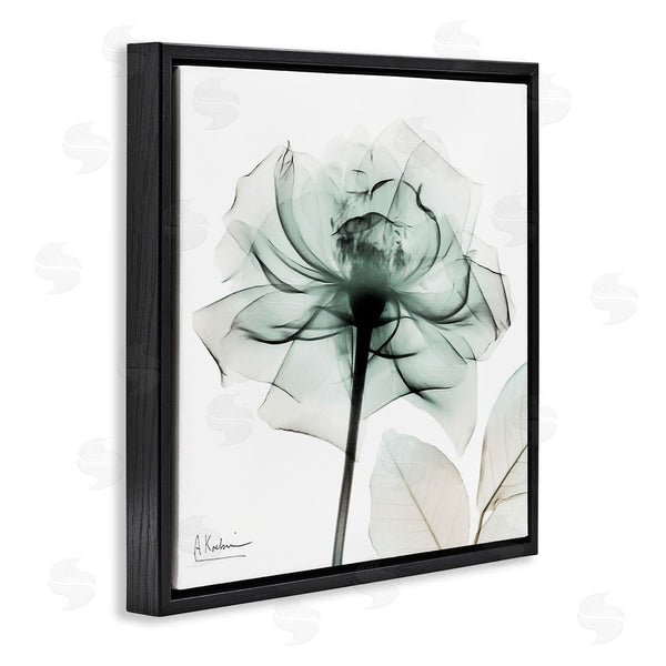 Stupell Industries Albert Koetsier | Transparent Flower Blossom Wall Art