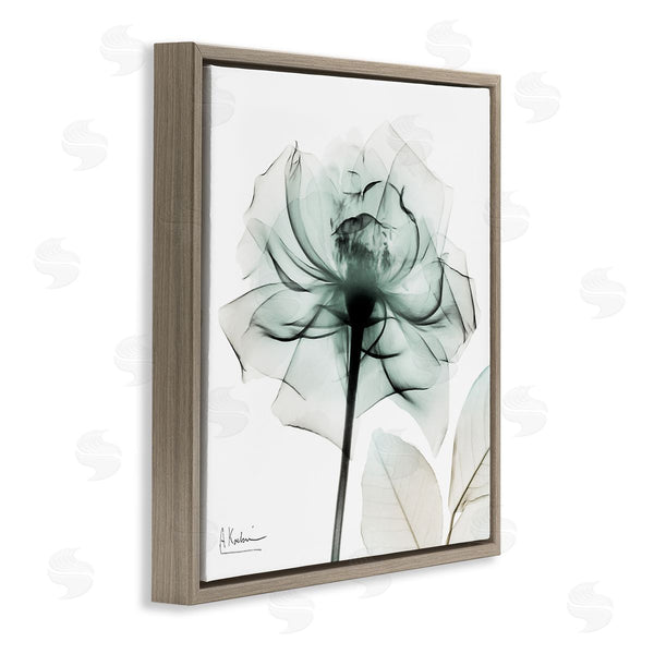 Stupell Industries Albert Koetsier | Transparent Flower Blossom Wall Art