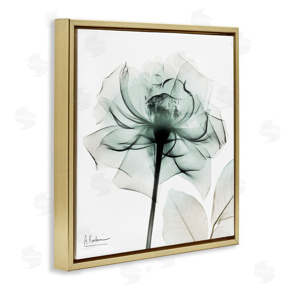 Stupell Industries Albert Koetsier | Transparent Flower Blossom Wall Art