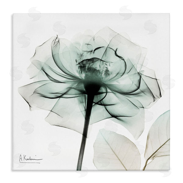 stupell industries Albert Koetsier | Transparent Flower Blossom Wall Art