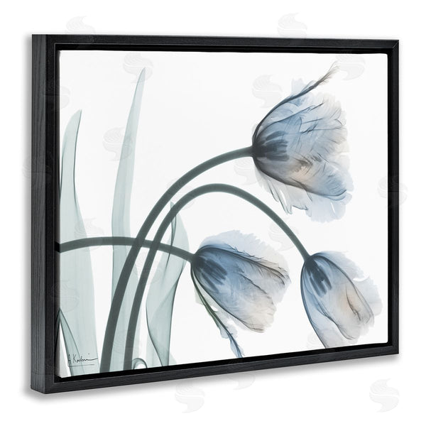 Stupell Industries Albert Koetsier | Trendy Mod Tulips