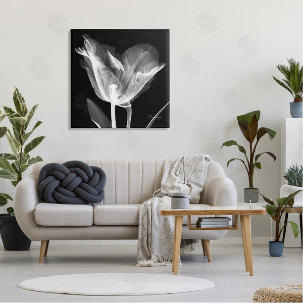 Stupell Industries Albert Koetsier | Tulip Flower X-Ray Wall Art