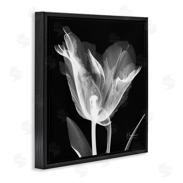 Stupell Industries Albert Koetsier | Tulip Flower X-Ray Wall Art