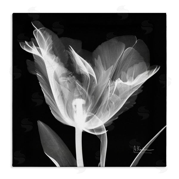 stupell industries Albert Koetsier | Tulip Flower X-Ray Wall Art