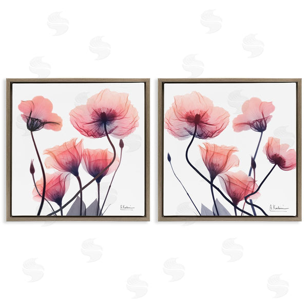 Stupell Industries Albert Koetsier | Various Faded Pink Flowers