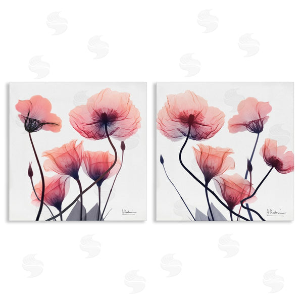stupell industries Albert Koetsier | Various Faded Pink Flowers