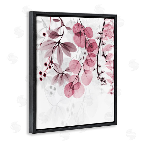 Stupell Industries Albert Koetsier | Vivid Matter Botanicals Wall Art
