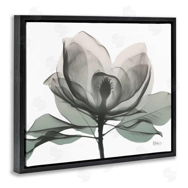 Stupell Industries Albert Koetsier | White Magnolia Flower Green Silhouette