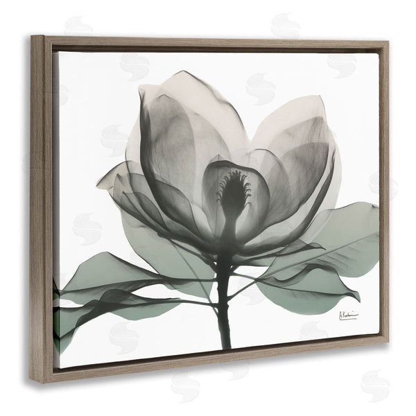 Stupell Industries Albert Koetsier | White Magnolia Flower Green Silhouette