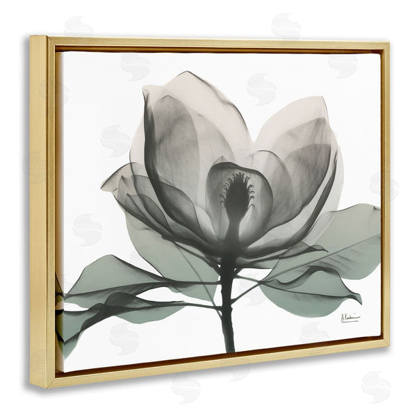 Stupell Industries Albert Koetsier | White Magnolia Flower Green Silhouette