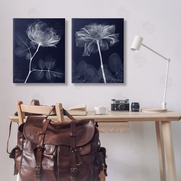 Stupell Industries Albert Koetsier | X-Ray Blossom On Black Wall Art