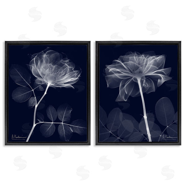 Stupell Industries Albert Koetsier | X-Ray Blossom On Black Wall Art