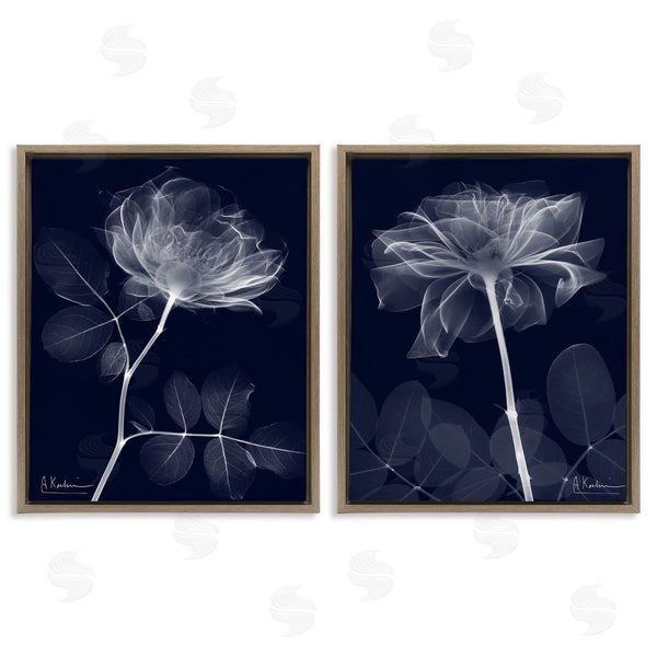 Stupell Industries Albert Koetsier | X-Ray Blossom On Black Wall Art