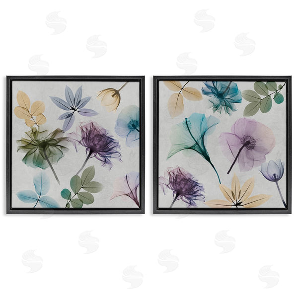 Stupell Industries Albert Koetsier | X-Ray Floral Collage Wall Art