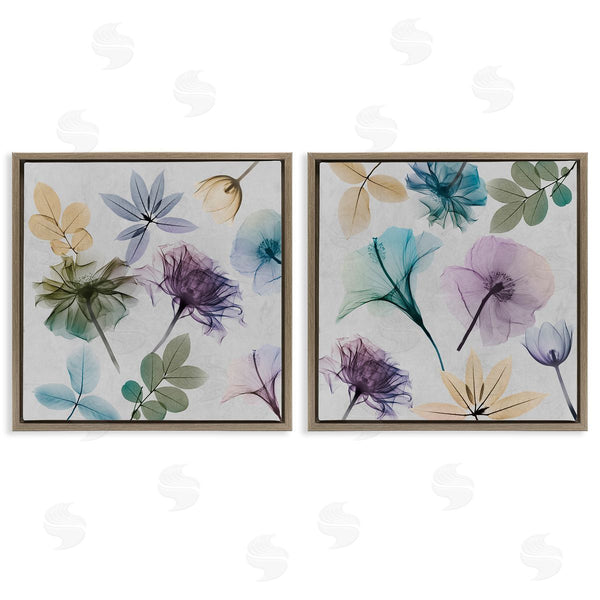 Stupell Industries Albert Koetsier | X-Ray Floral Collage Wall Art