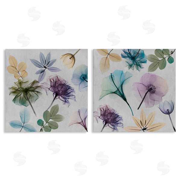 stupell industries Albert Koetsier | X-Ray Floral Collage Wall Art