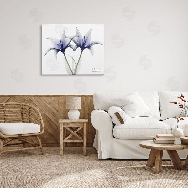 Stupell Industries Albert Koetsier | X-Ray Lily Flowers Wall Art