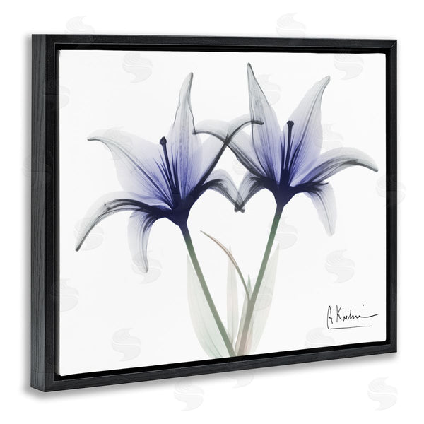 Stupell Industries Albert Koetsier | X-Ray Lily Flowers Wall Art