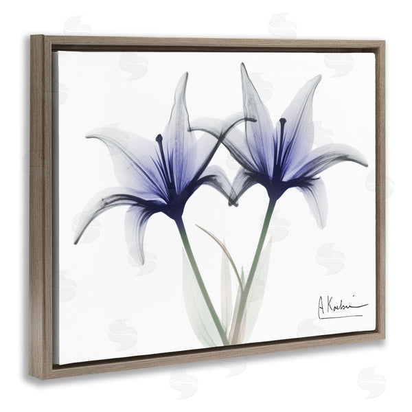 Stupell Industries Albert Koetsier | X-Ray Lily Flowers Wall Art