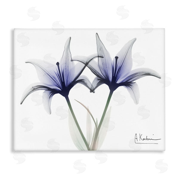 stupell industries Albert Koetsier | X-Ray Lily Flowers Wall Art