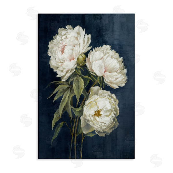 stupell industries Alex Black | White Blossoms on Blue