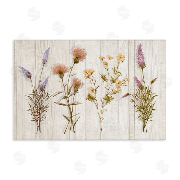stupell industries Alex Black | Wild Flower Sprigs Wall Art