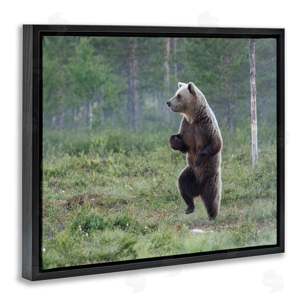 Stupell Industries Alex Jevon | Dancing Bear In Forest Wall Art