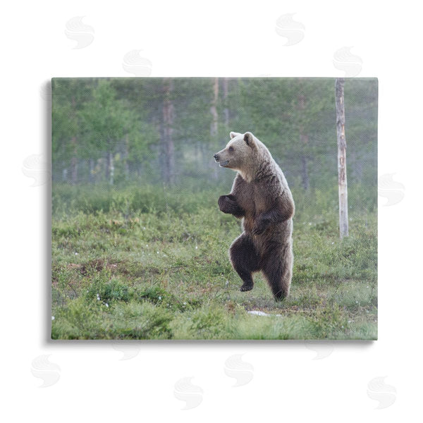 stupell industries Alex Jevon | Dancing Bear in Forest Wall Art