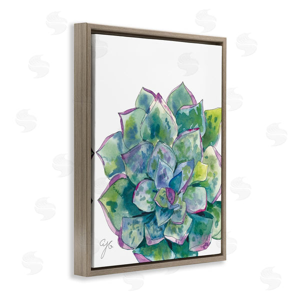 Stupell Industries Alexandria Gilbert Kincaid | Abstract Succulent Watercolor
