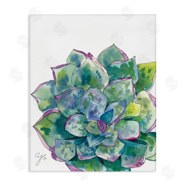 stupell industries Alexandria Gilbert Kincaid | Abstract Succulent Watercolor