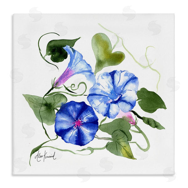 stupell industries Alexandria Gilbert Kincaid | Minimal Morning Glories Wall Art